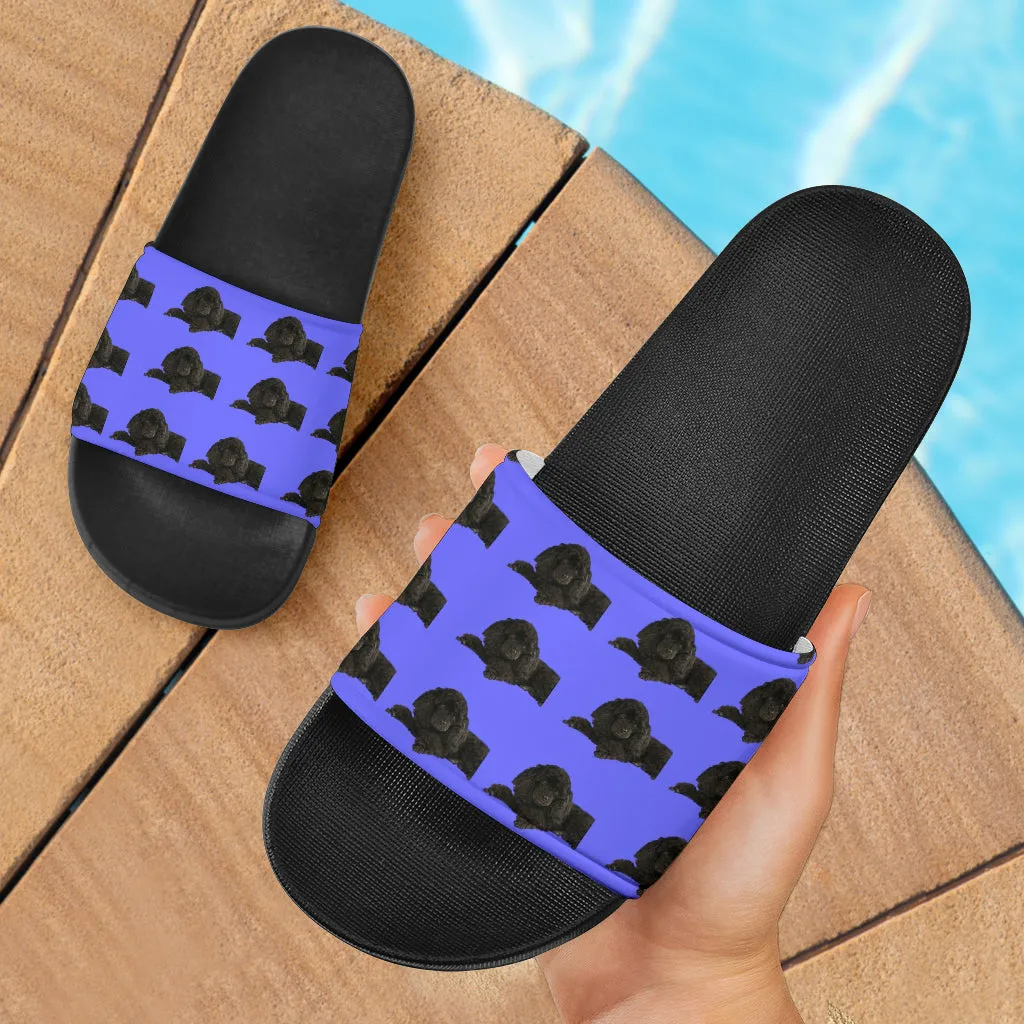 Poodle Slides - Black Poodle